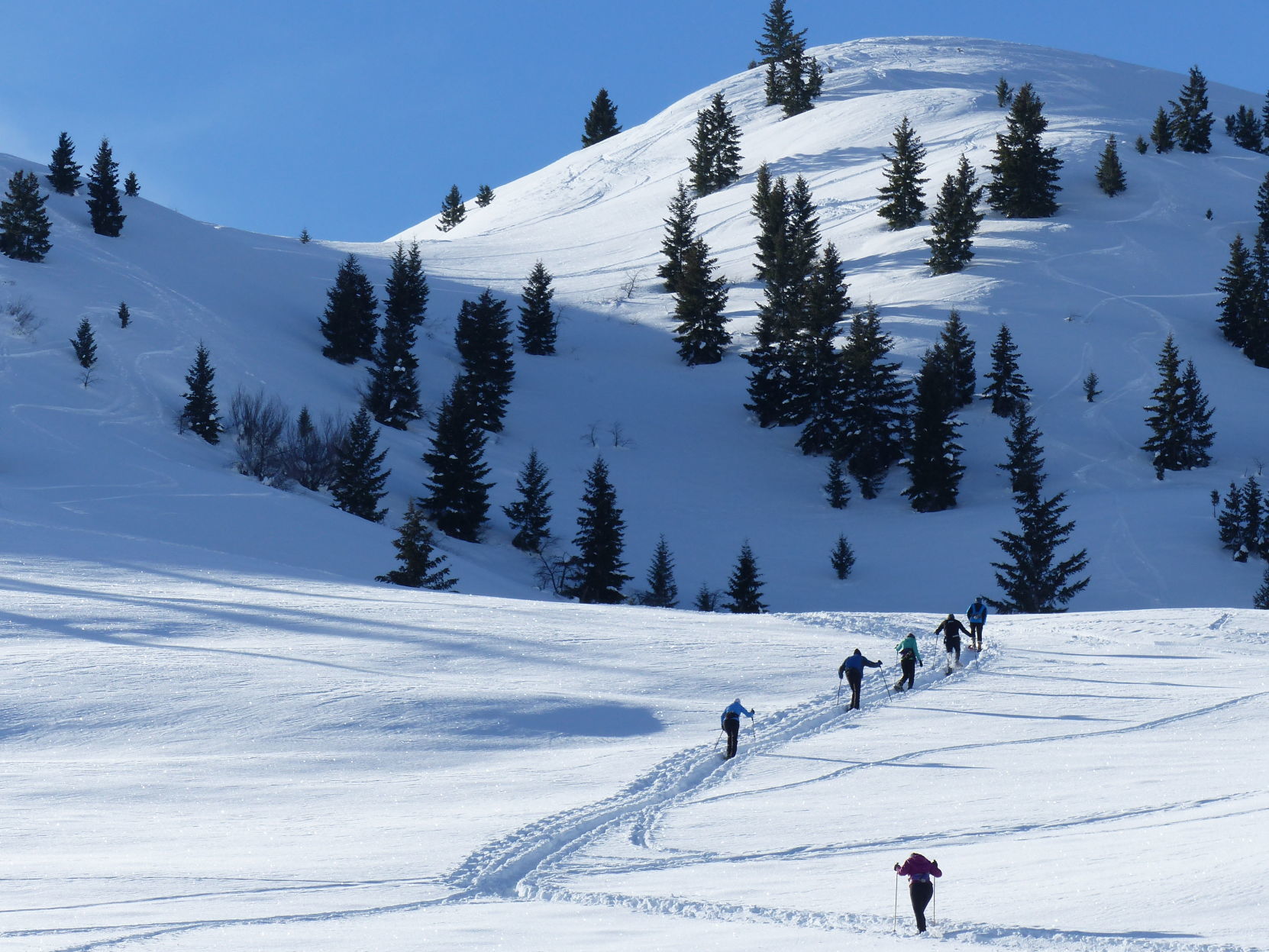 Snowshoeing